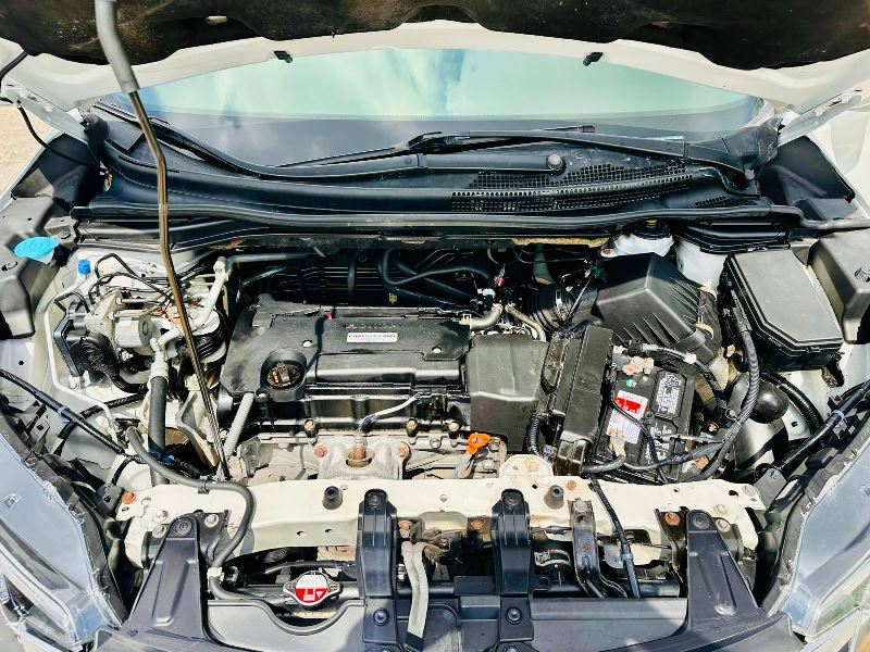 WhatsApp Image 2025-10-15 at 10.31.48 AM (2)