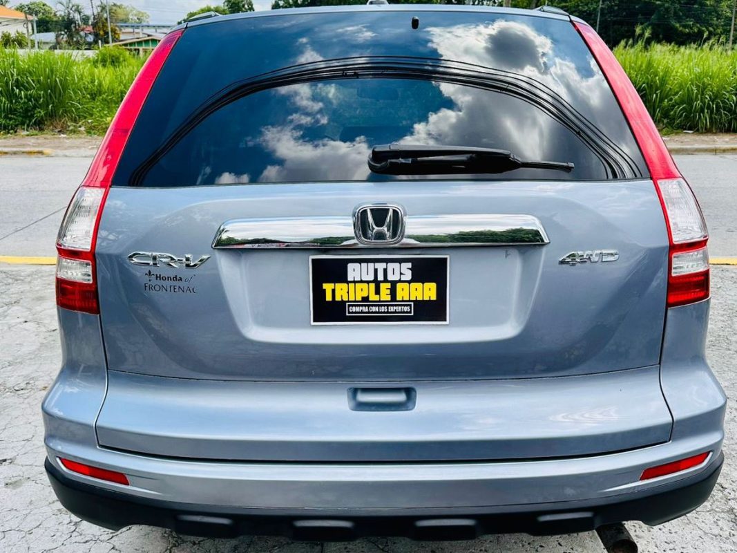 WhatsApp Image 2025-10-17 at 12.45.41 PM (1)