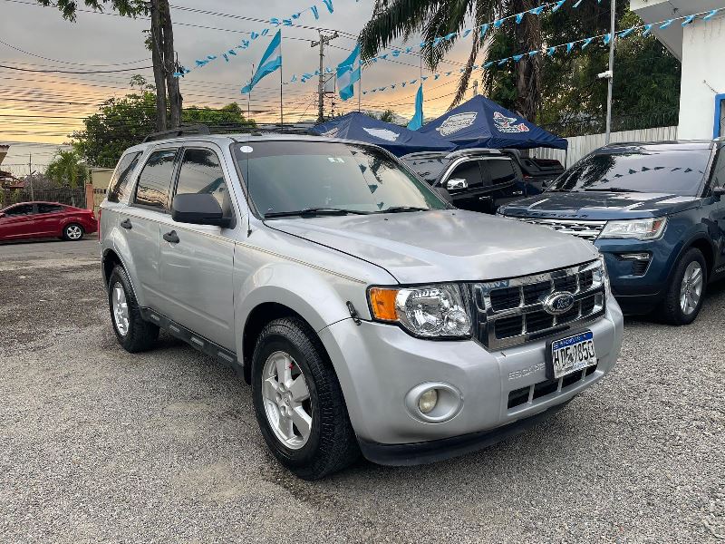 WhatsApp Image 2025-10-17 at 6.55.37 PM