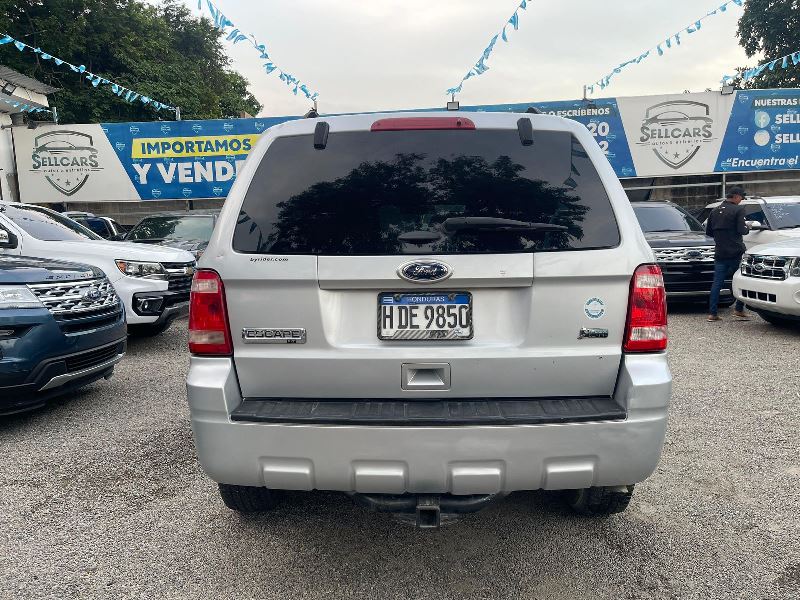 WhatsApp Image 2025-10-17 at 6.55.39 PM