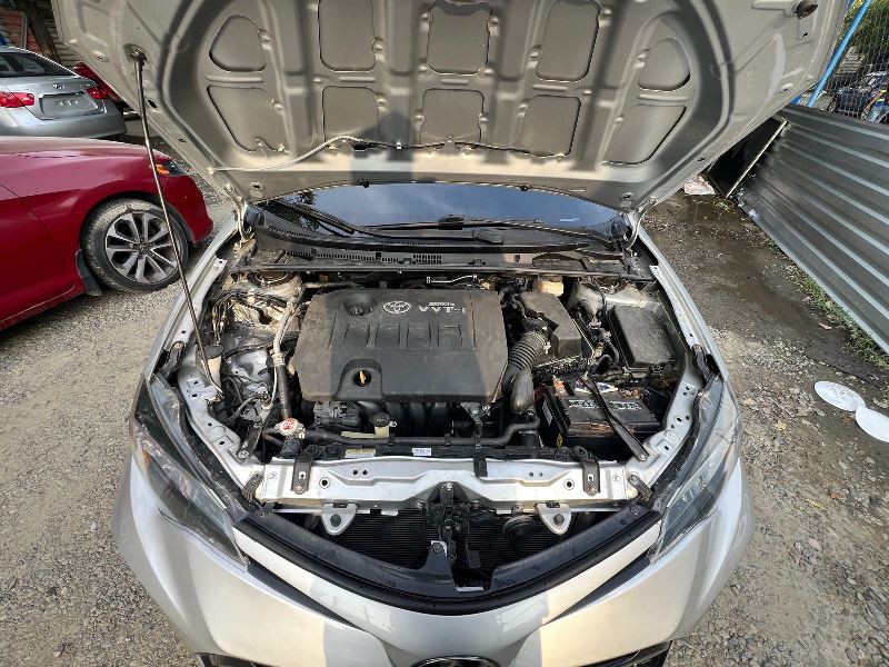 WhatsApp Image 2025-10-21 at 11.42.42 AM (1)