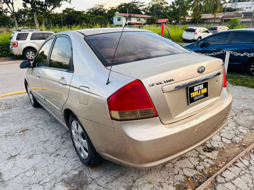 WhatsApp Image 2025-10-21 at 9.05.05 PM (3)