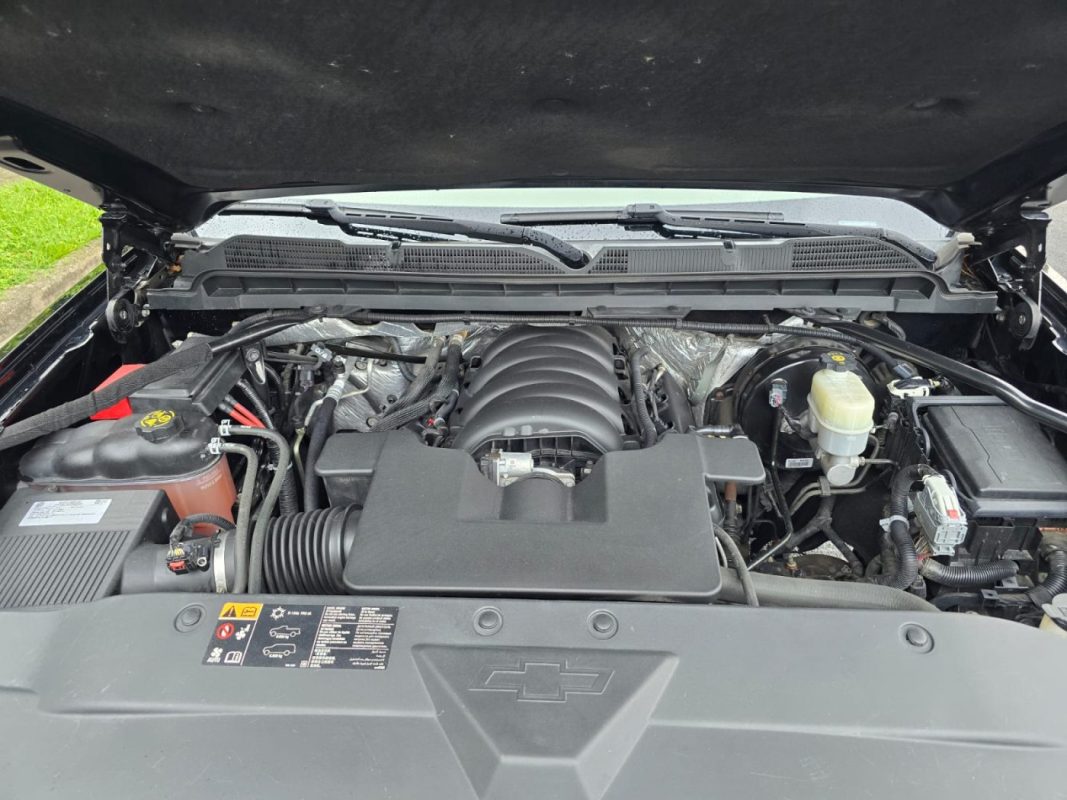 WhatsApp Image 2025-10-23 at 1.43.52 PM (3)