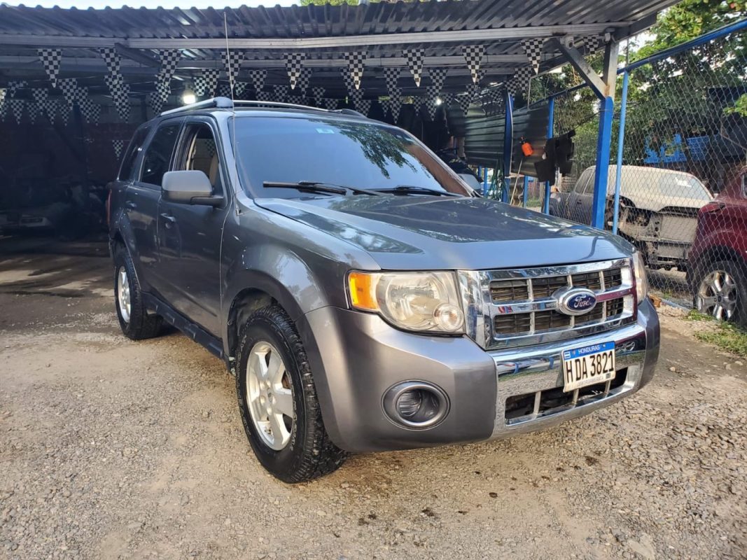 WhatsApp Image 2025-10-25 at 11.05.51 AM (1)