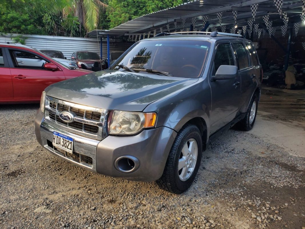 WhatsApp Image 2025-10-25 at 11.05.51 AM