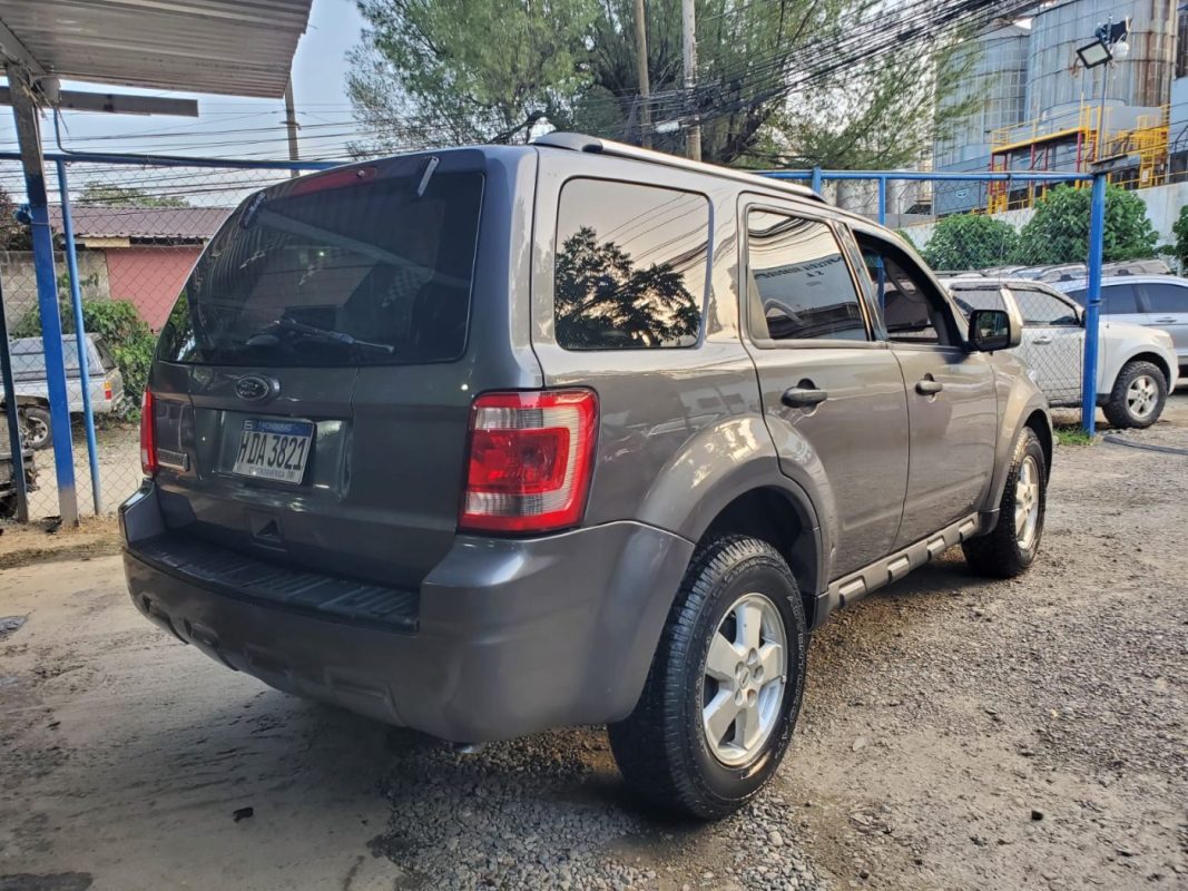 WhatsApp Image 2025-10-25 at 11.05.52 AM