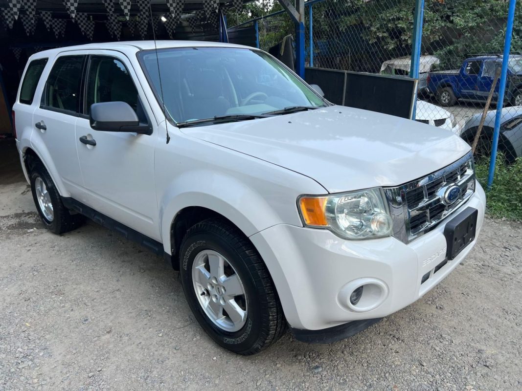 WhatsApp Image 2025-10-25 at 11.53.50 AM (1)