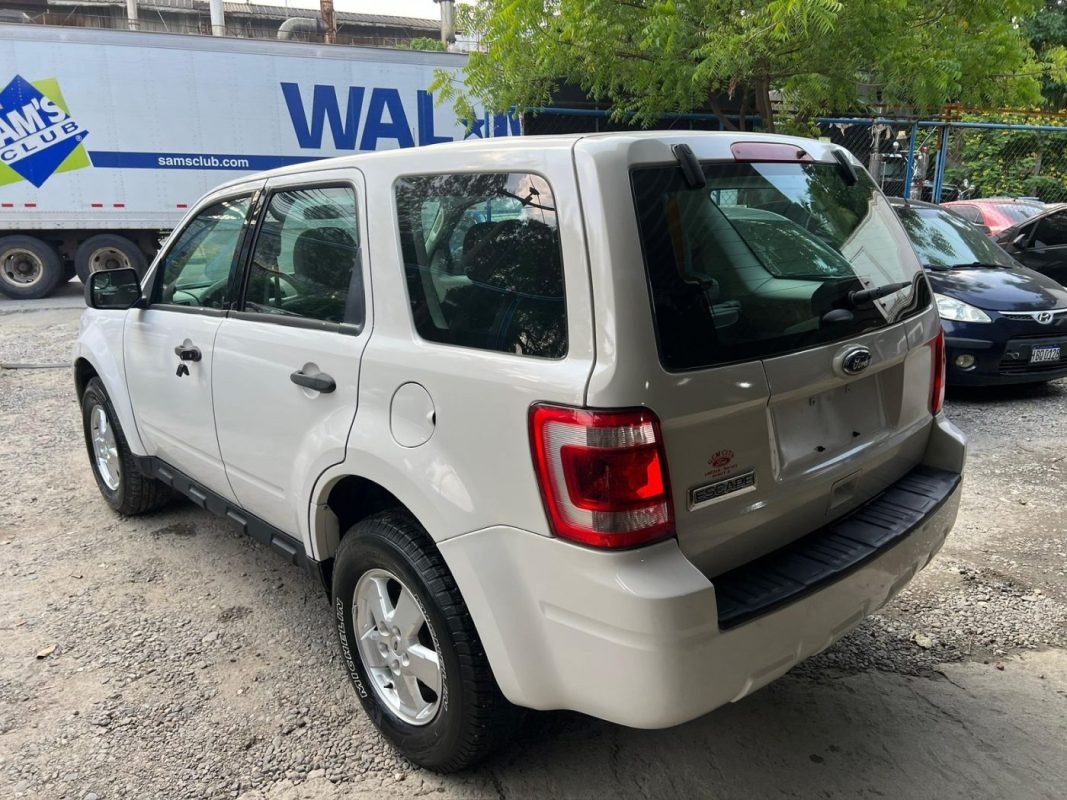 WhatsApp Image 2025-10-25 at 11.53.50 AM