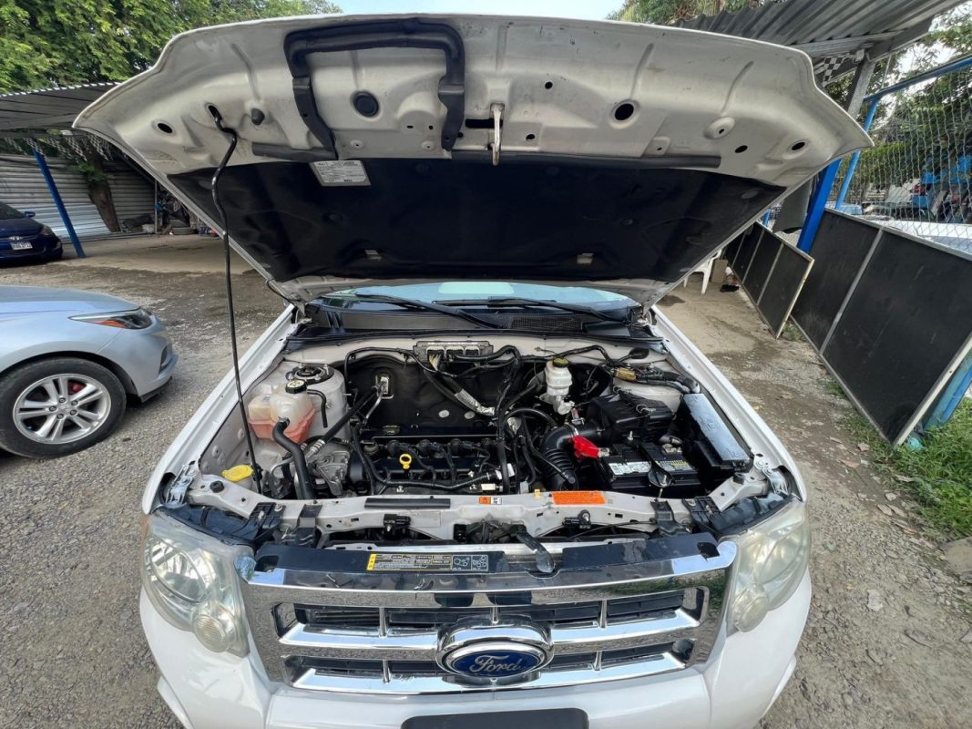 WhatsApp Image 2025-10-25 at 11.53.51 AM