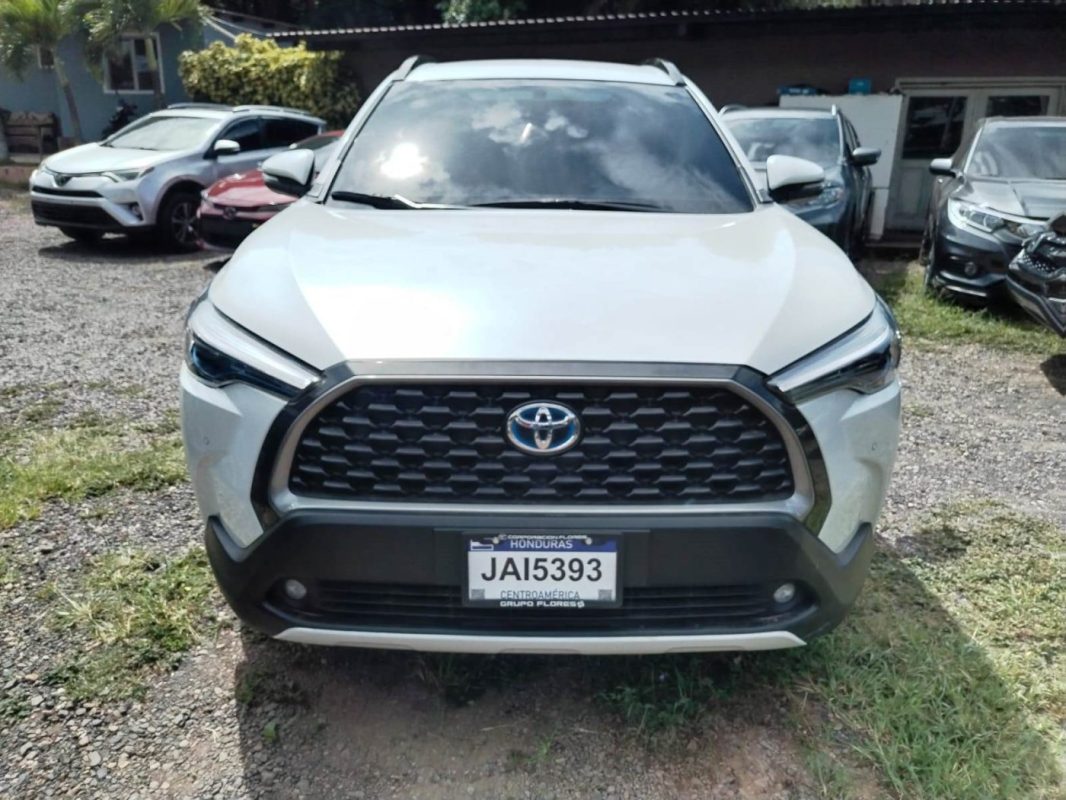 a0b11393-e7fc-4dc0-a78a-e5d73b1efcc1