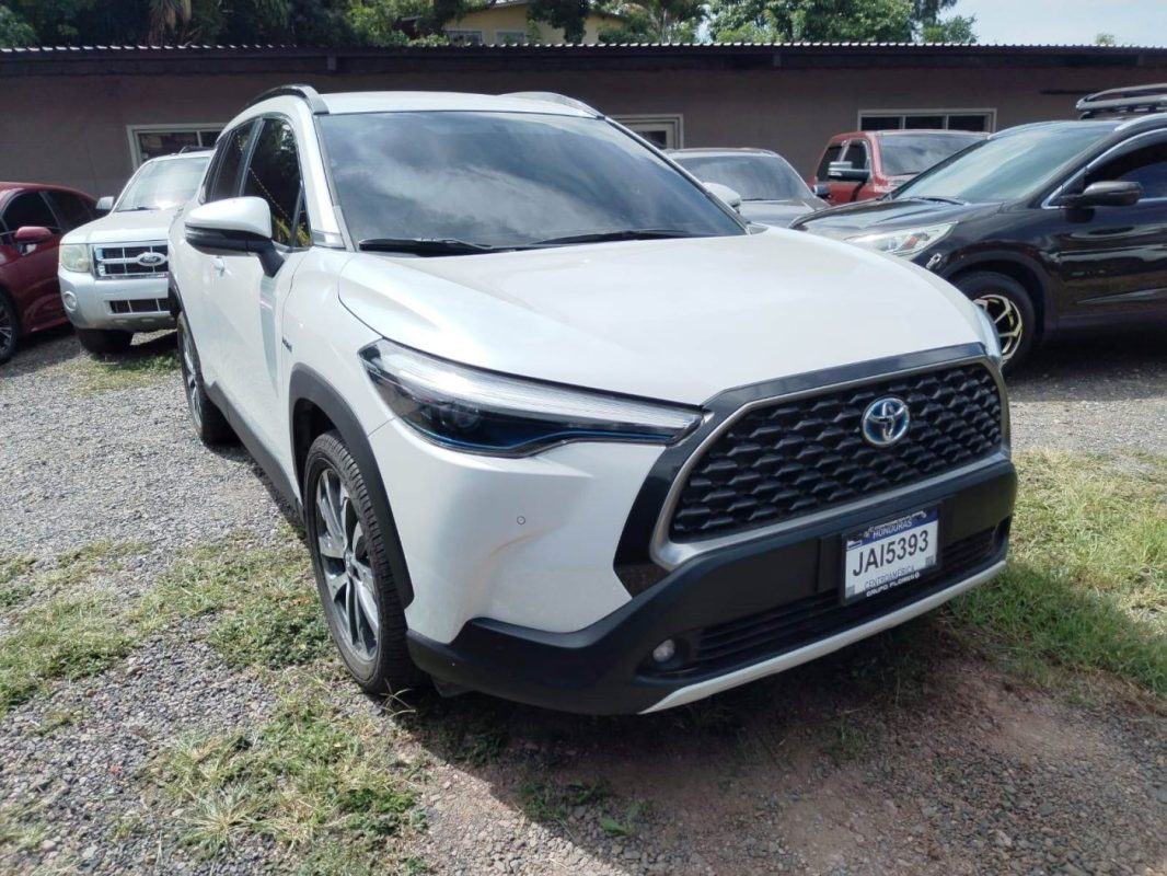 b7abbbef-e44a-4f13-9ada-97578b985b80