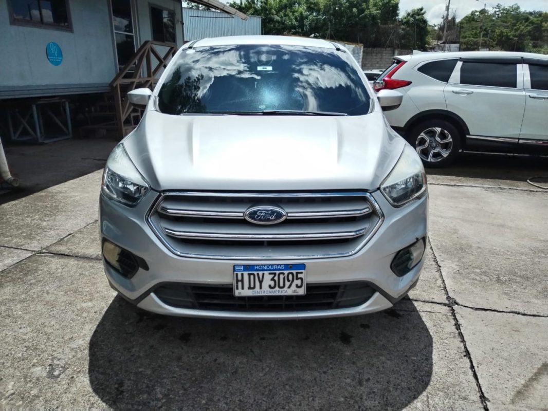 d177a999-2eea-4ce9-90a7-f034df857970