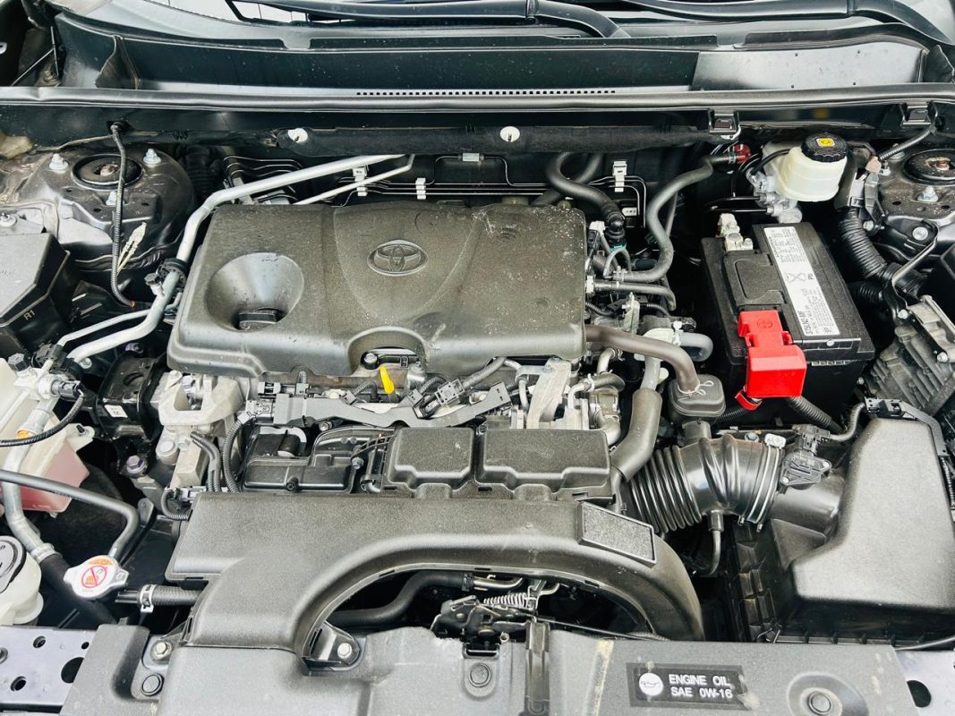 d8177b92-f8a4-4a10-97ad-a423517738d7