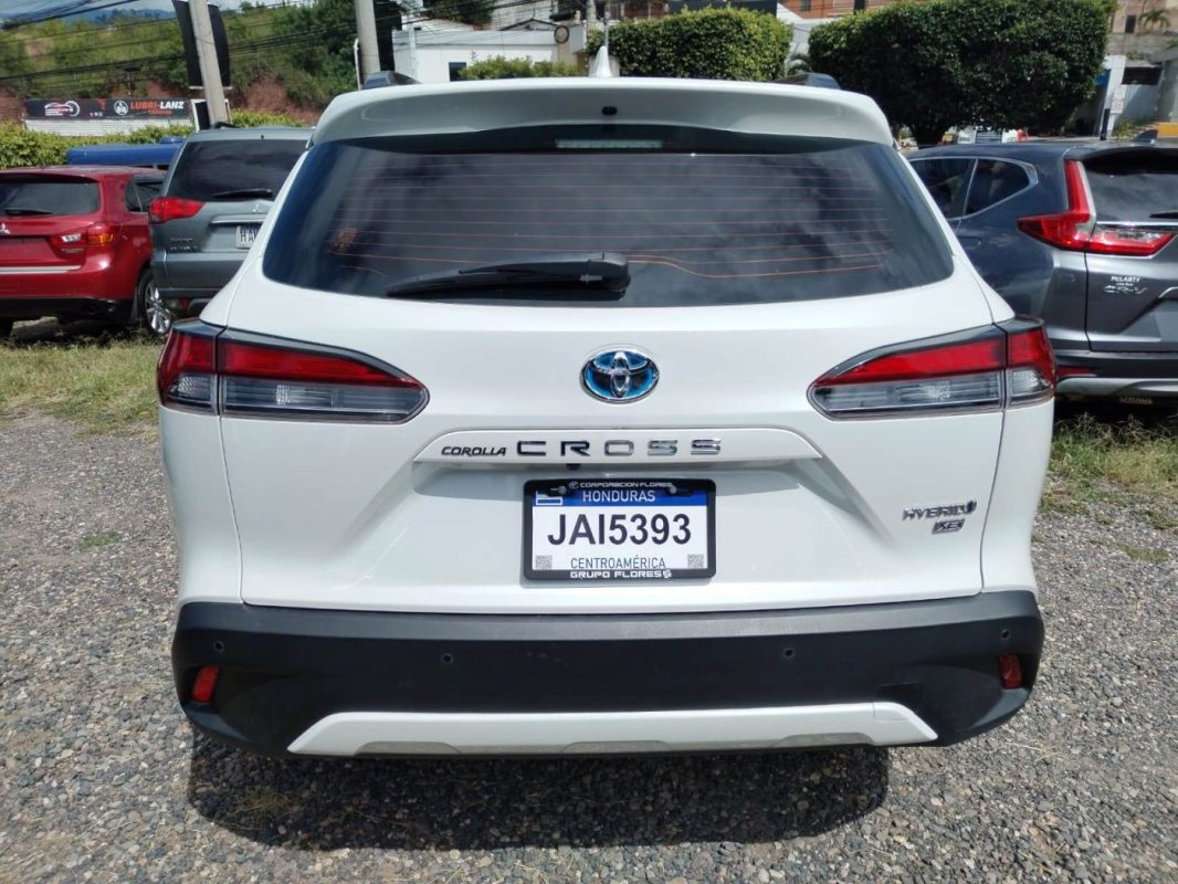 f1523c19-bbcc-4a3b-9835-0ccf967195b2