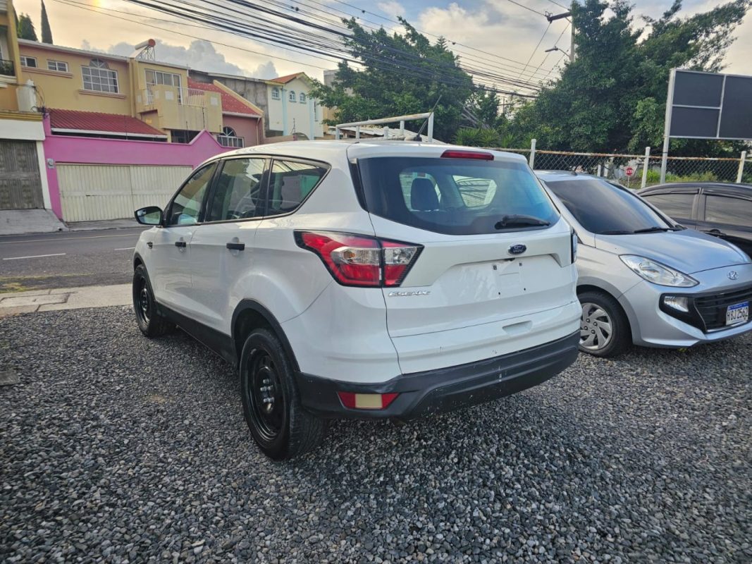 f3dffe74-2d26-4491-a000-21e4267c2a0d