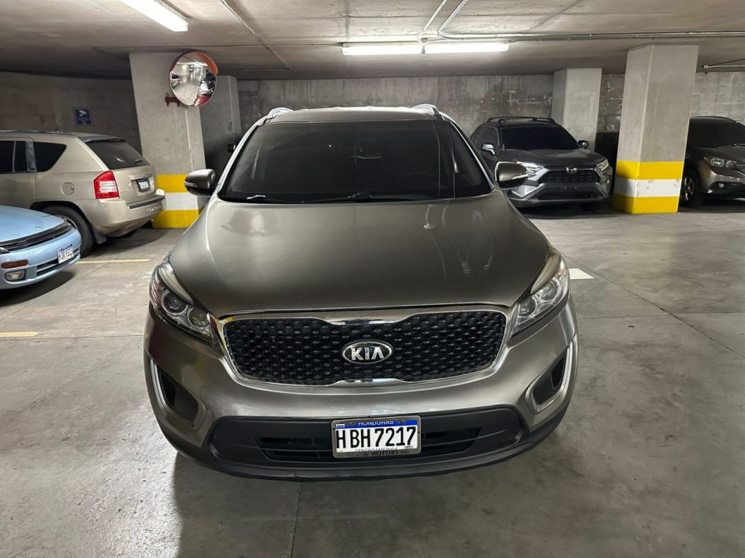 37f9a718-4002-4f4d-988f-12140fbff8ff