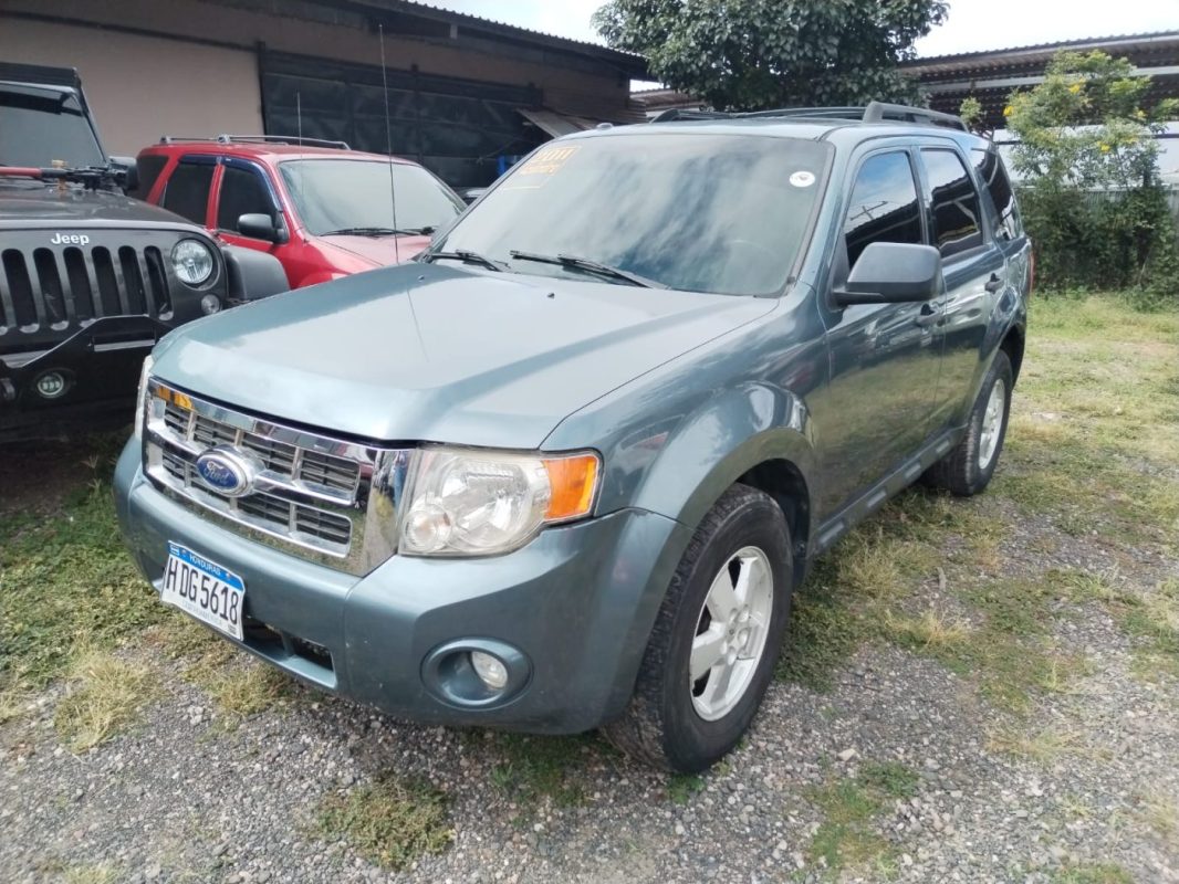 51ba4336-546f-4807-9460-e7ad1821fb95