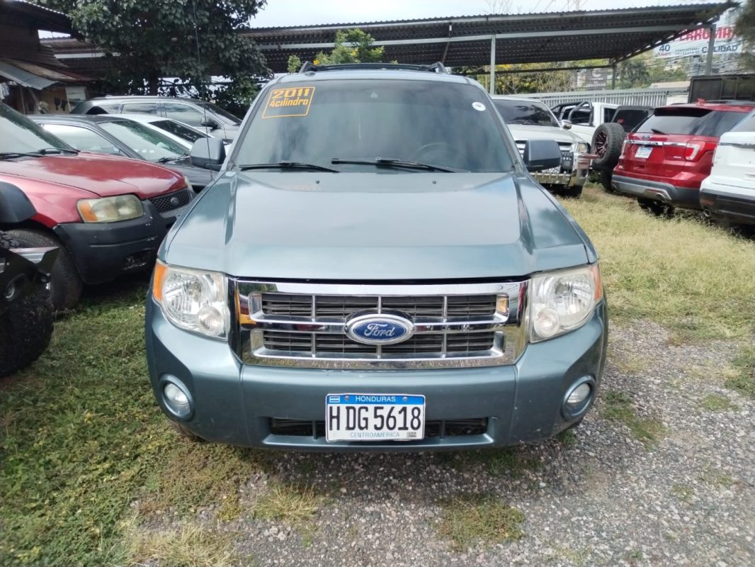 568261a8-d8e3-43e3-8a77-09e0cc1da865