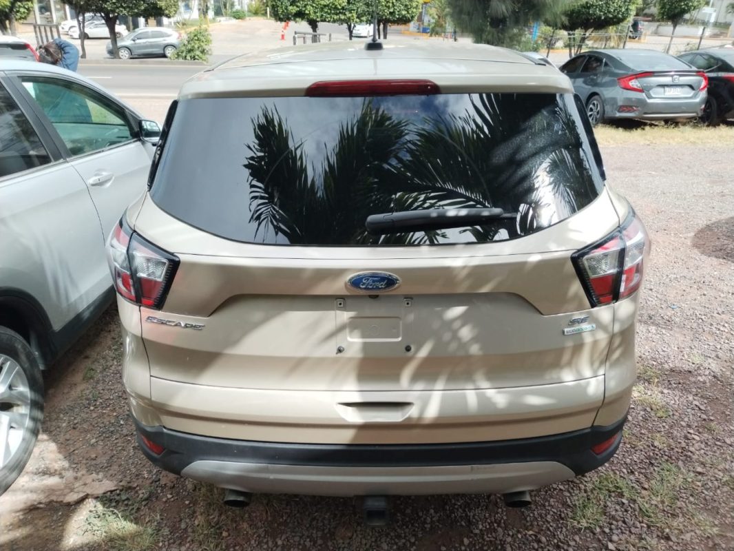 9f9cc632-6236-419d-a1da-83526cc76053