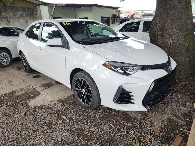 Copia de FJIMG_20251122_132652