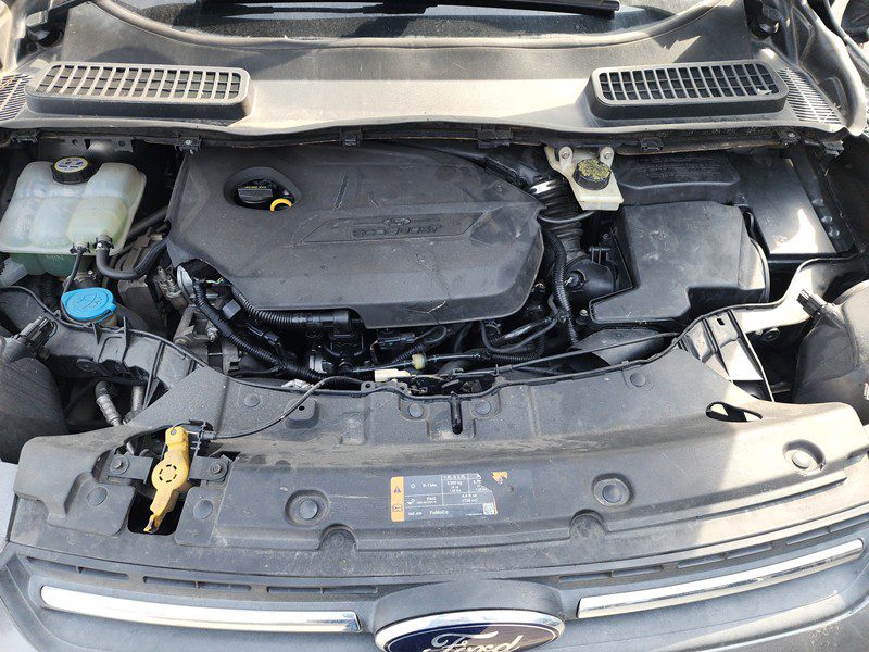 FJIMG_20251114_135336