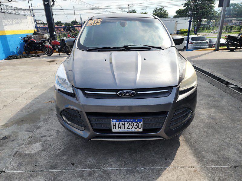 FJIMG_20251114_135346