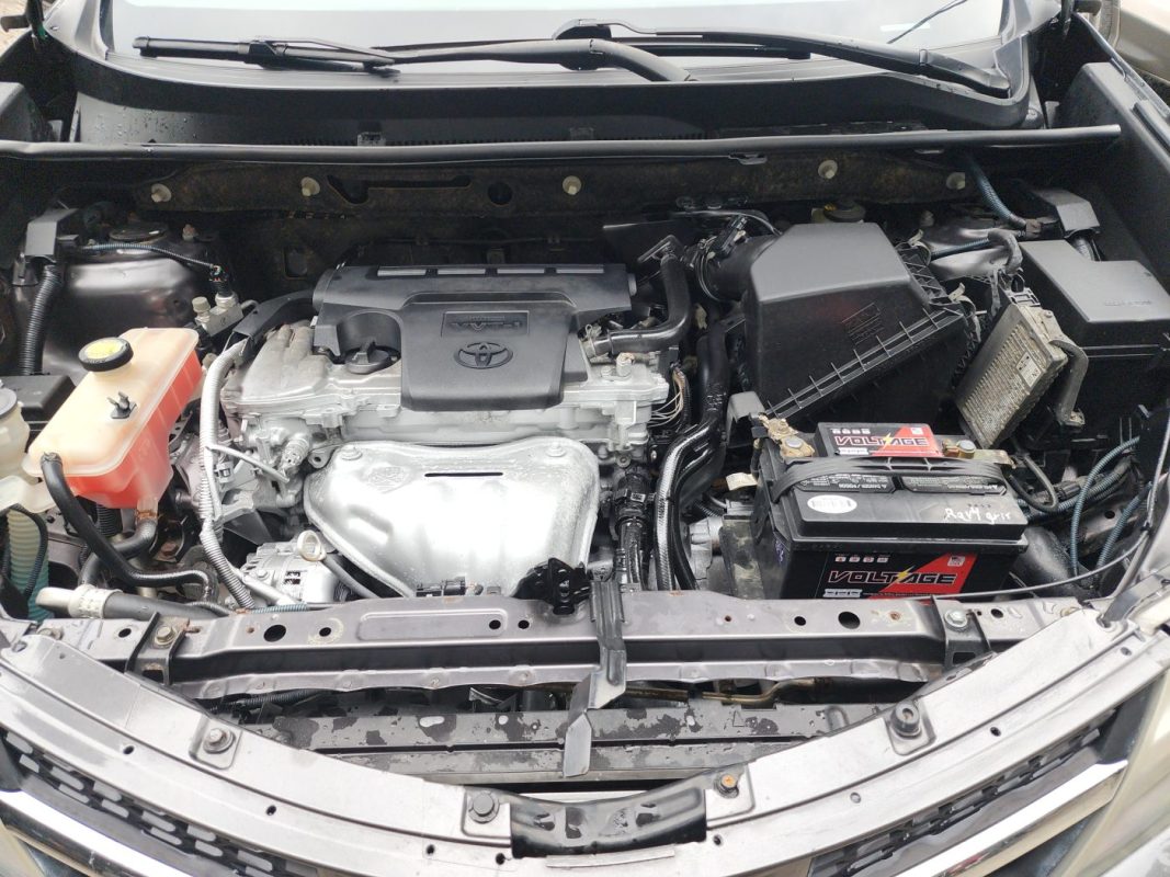 FJIMG_20251115_144106