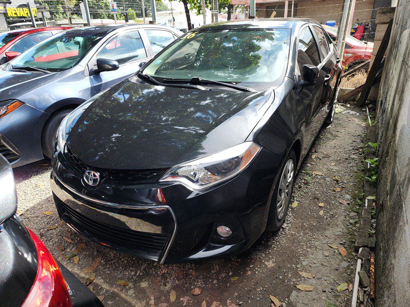 FJIMG_20251122_131427