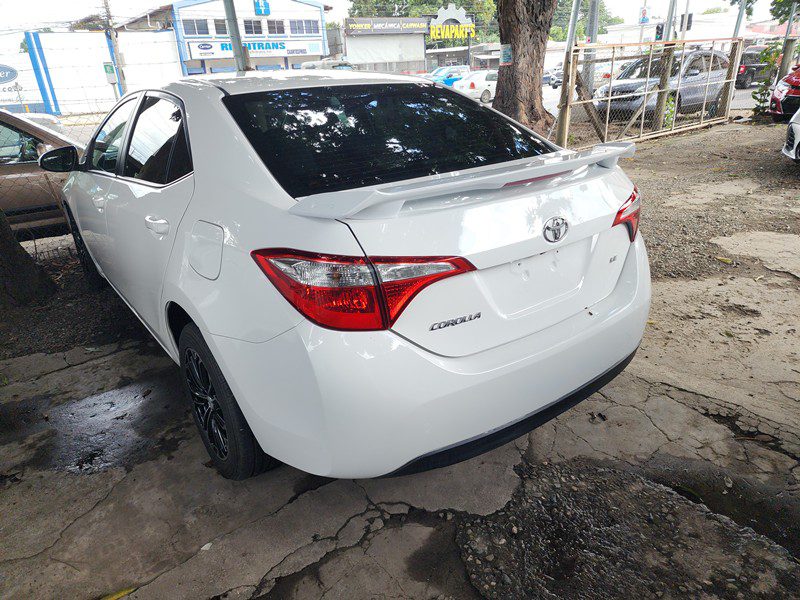 FJIMG_20251122_132506