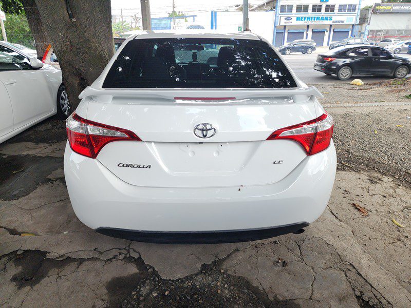 FJIMG_20251122_132510