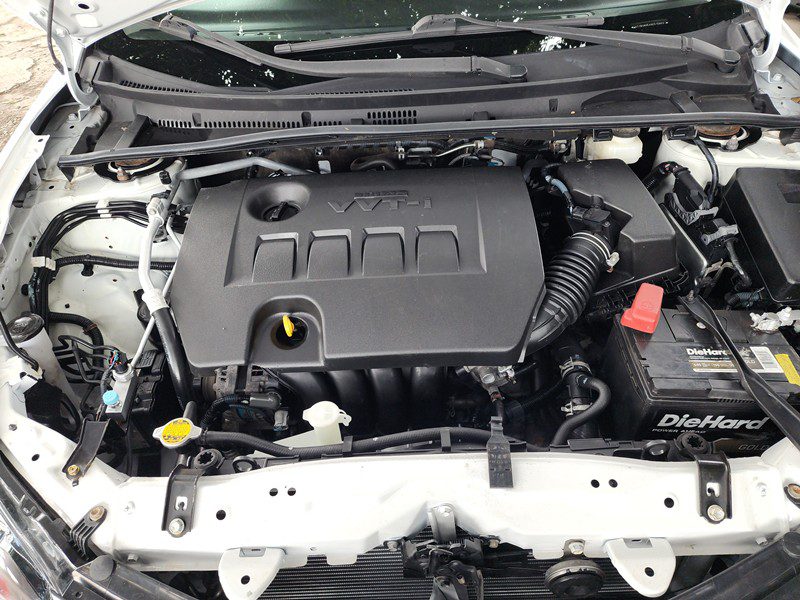 FJIMG_20251122_132633