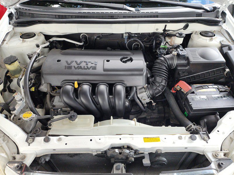 FJIMG_20251122_133225