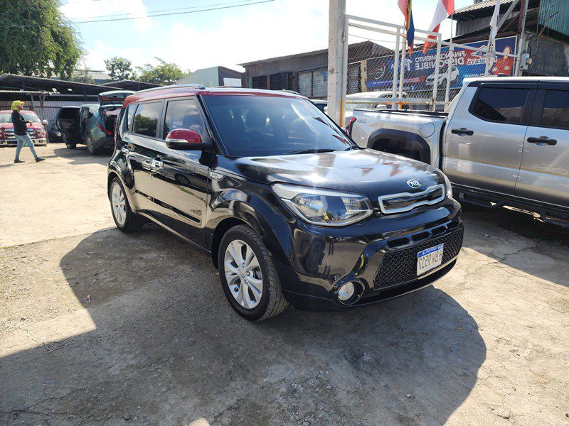 FJIMG_20260124_100443