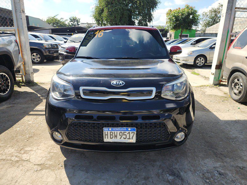 FJIMG_20260124_100447