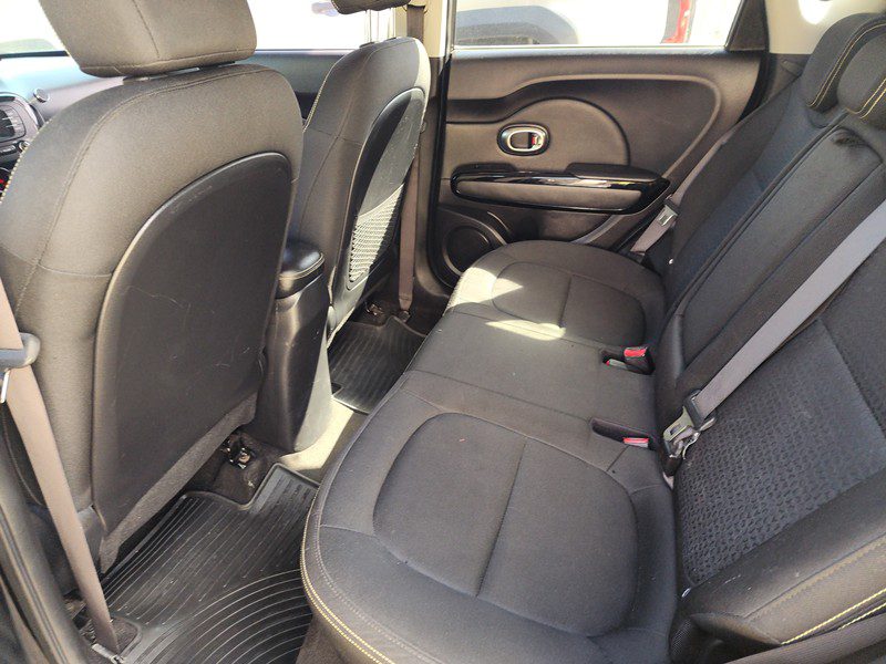 FJIMG_20260124_100502