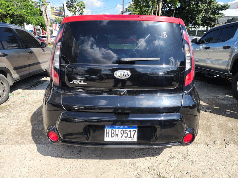 FJIMG_20260124_100521