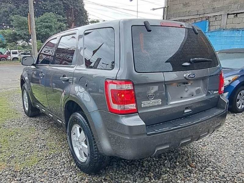 WhatsApp Image 2025-11-01 at 2.08.50 PM