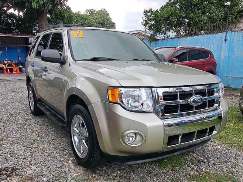 WhatsApp Image 2025-11-01 at 2.28.44 PM