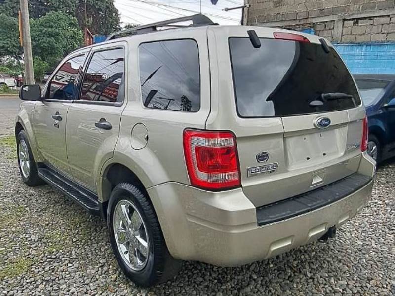 WhatsApp Image 2025-11-01 at 2.28.46 PM