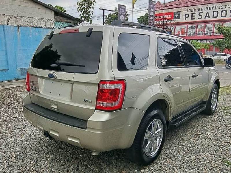 WhatsApp Image 2025-11-01 at 2.28.48 PM