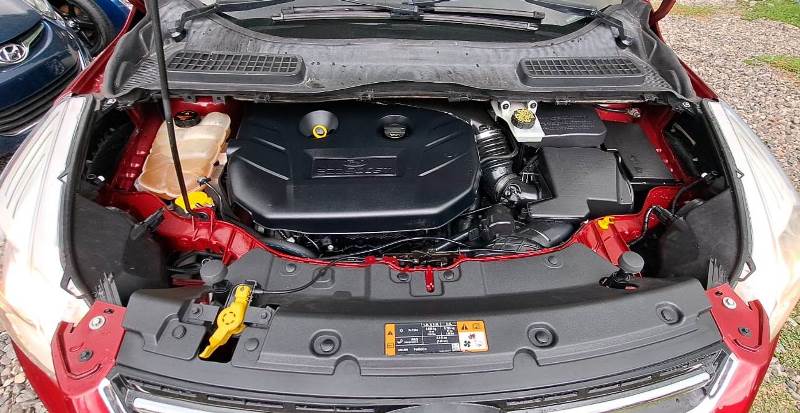 WhatsApp Image 2025-11-01 at 2.38.51 PM