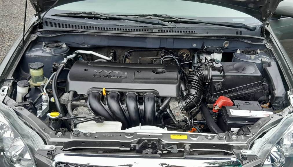 WhatsApp Image 2025-11-03 at 2.23.05 PM