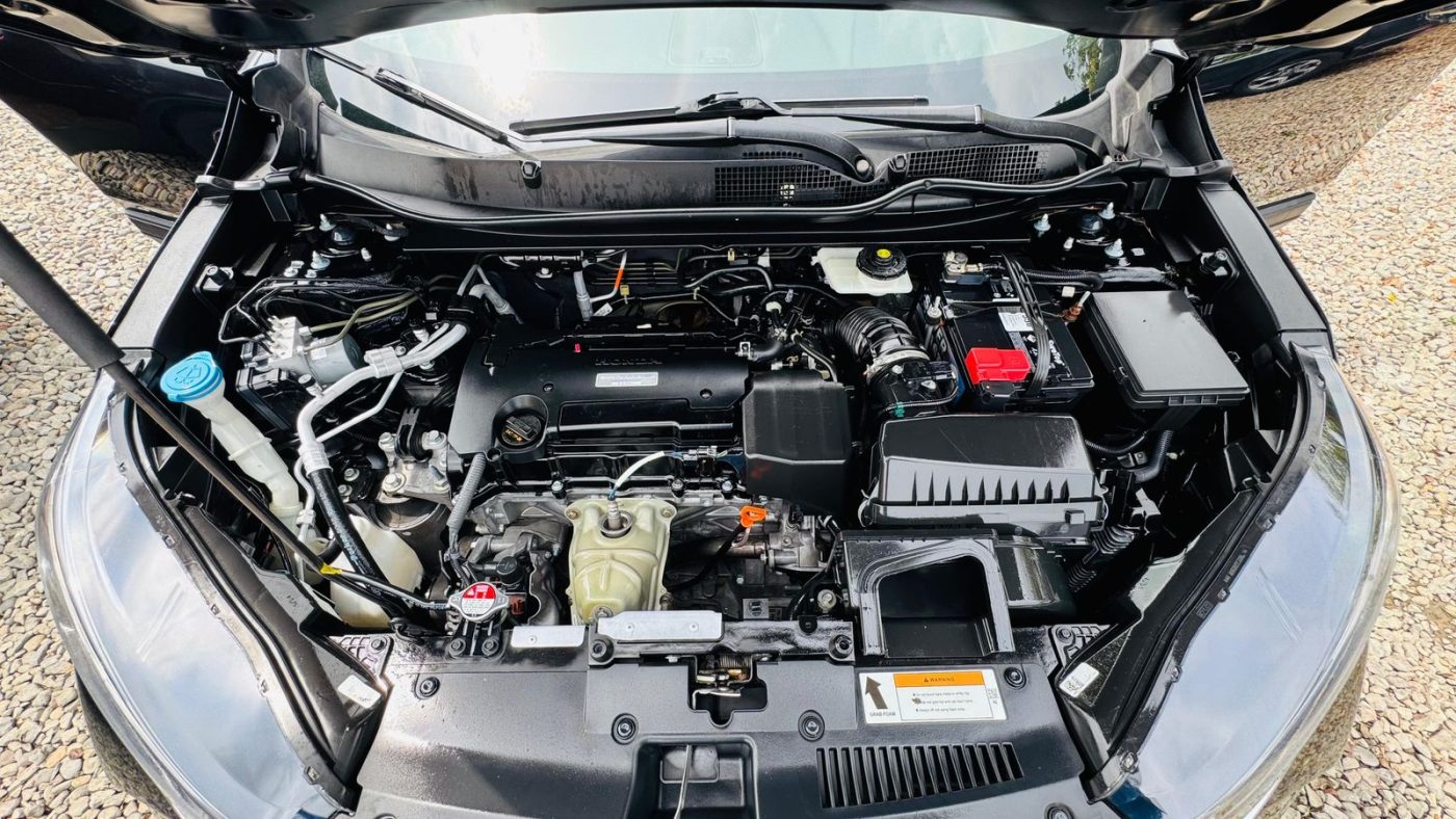 WhatsApp Image 2025-11-03 at 8.33.04 AM