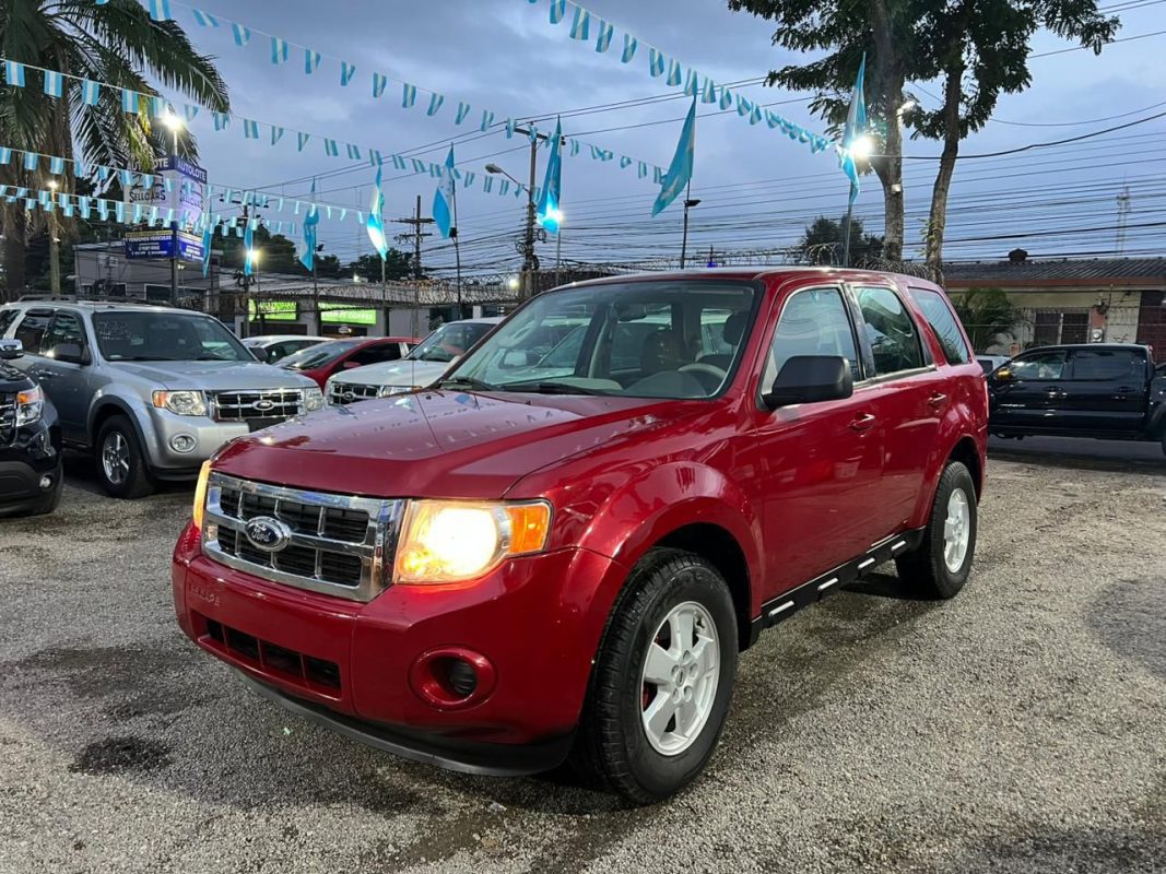 WhatsApp Image 2025-11-05 at 9.10.34 PM