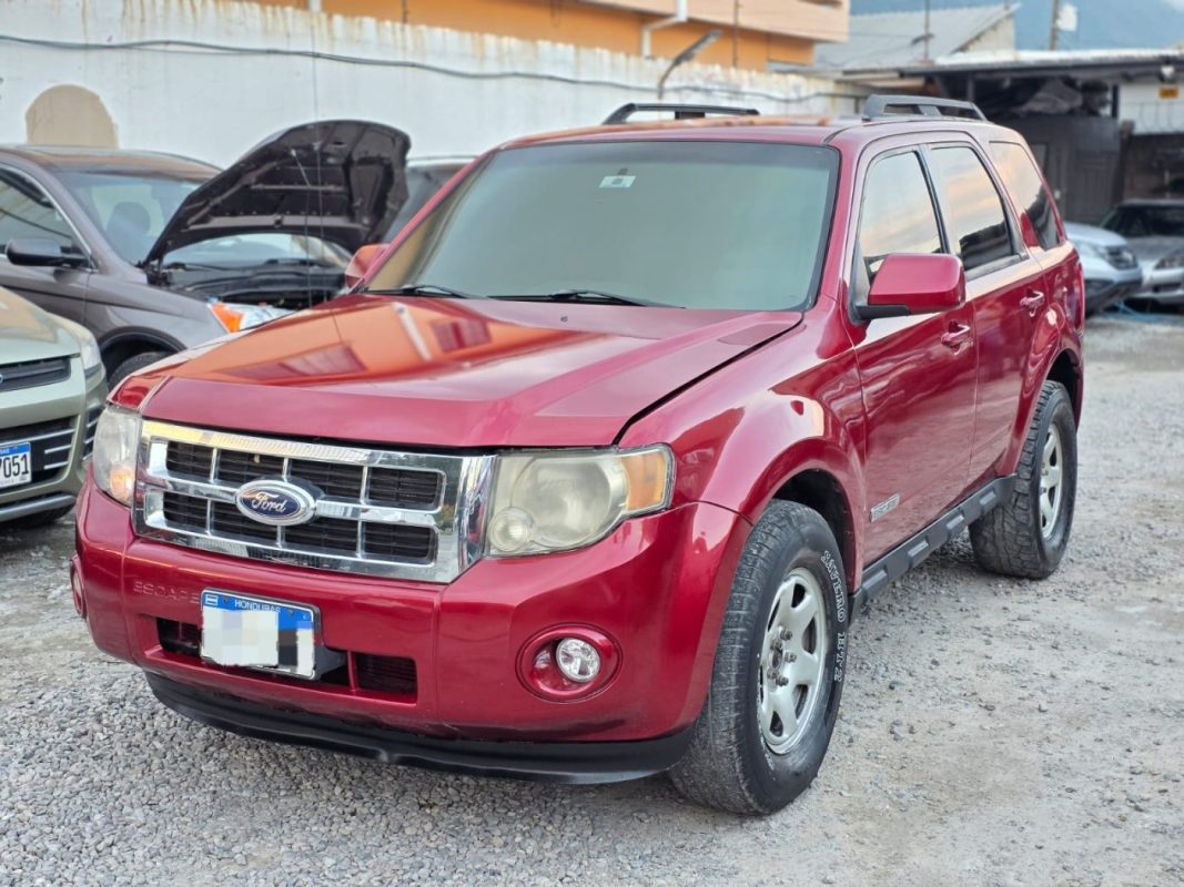 WhatsApp Image 2025-11-08 at 7.06.56 AM