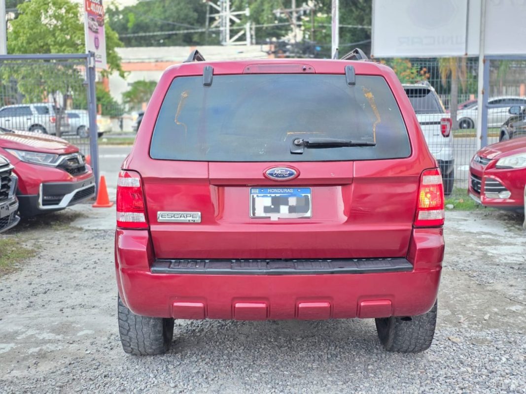 WhatsApp Image 2025-11-08 at 7.06.57 AM (1)