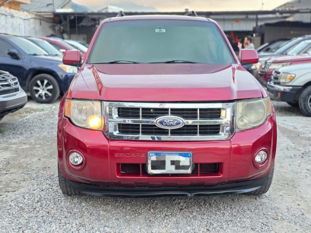 WhatsApp Image 2025-11-08 at 7.06.57 AM