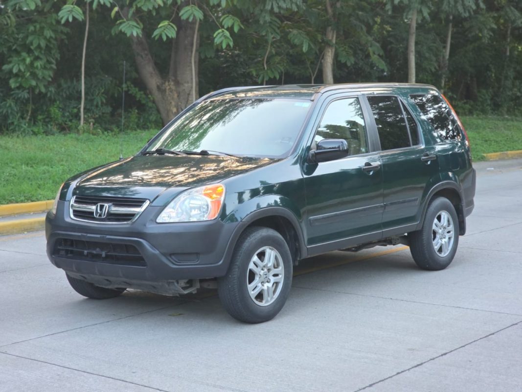 WhatsApp Image 2025-11-09 at 8.49.21 AM