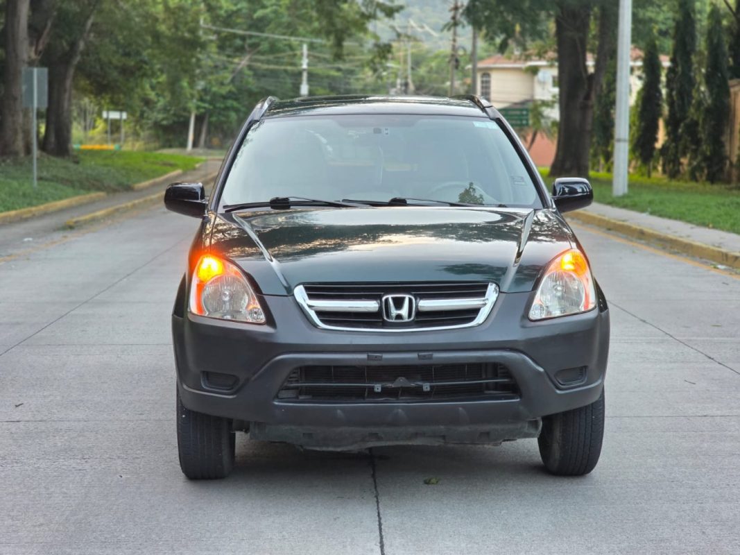 WhatsApp Image 2025-11-09 at 8.49.22 AM (1)