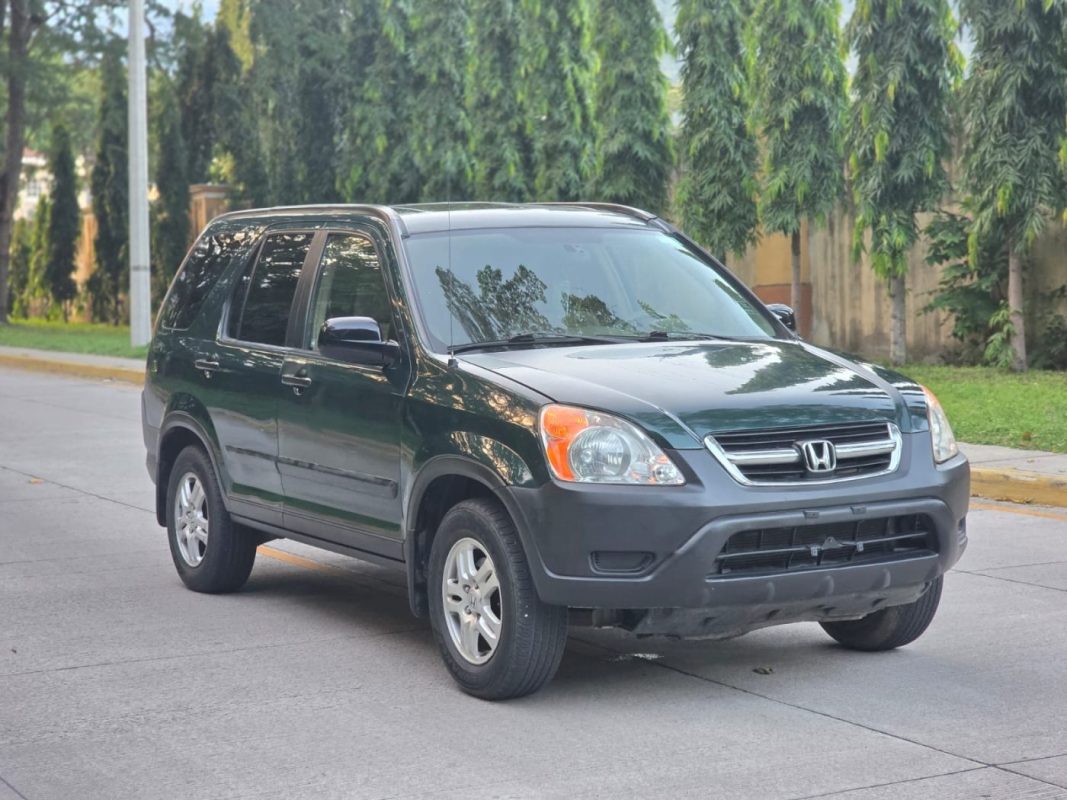 WhatsApp Image 2025-11-09 at 8.49.22 AM